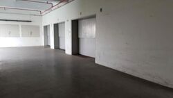 People's Garden (D19), Warehouse #463023341